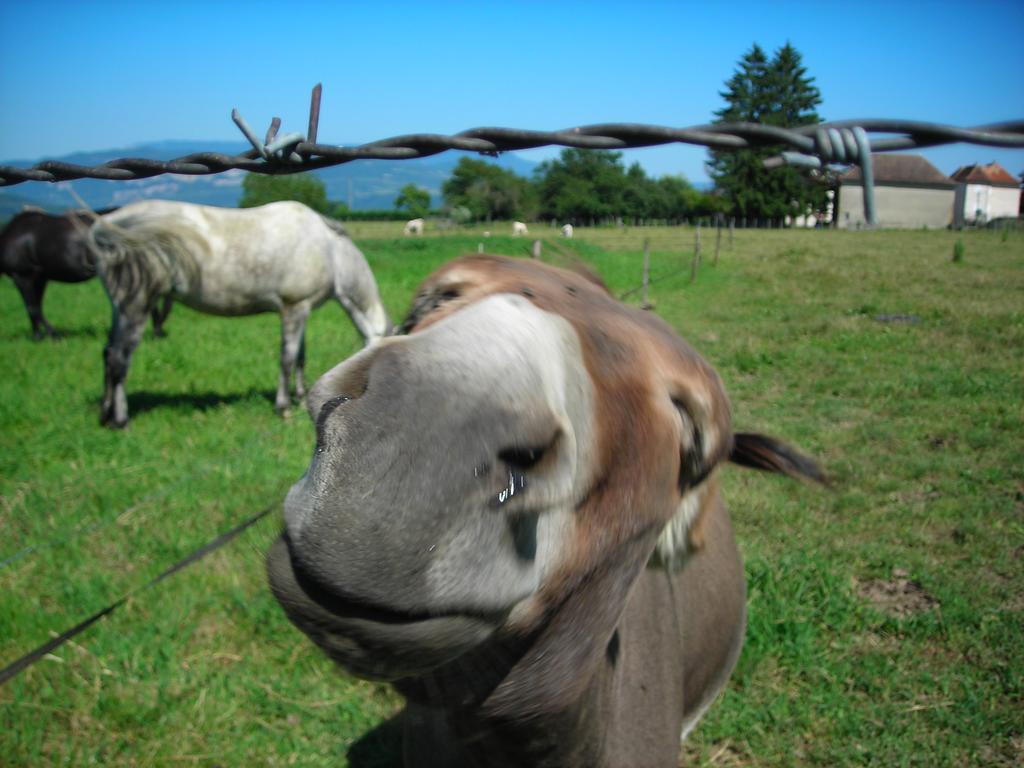 La Bardeliere Farm stay Corbelin