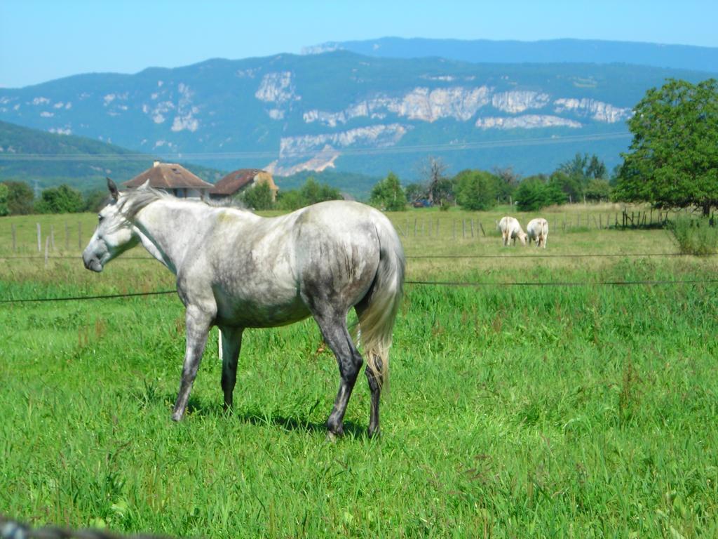 Farm stay La Bardeliere *