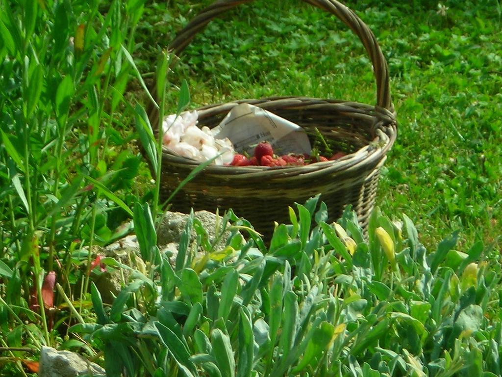 La Bardeliere Farm stay *