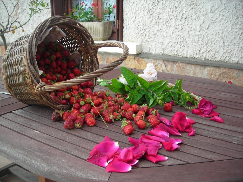 Farm stay La Bardeliere