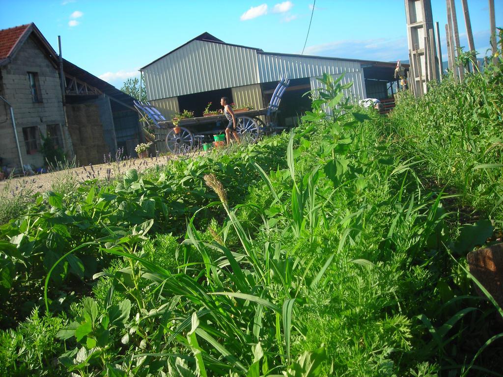 Farm stay La Bardeliere *
