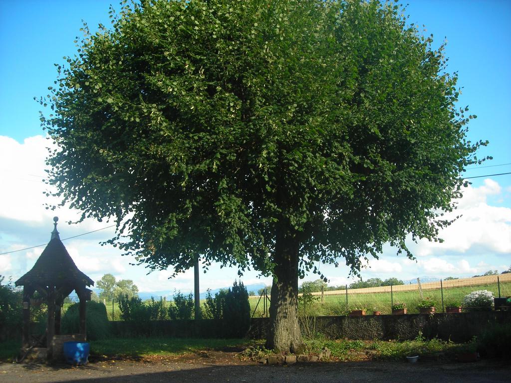 La Bardeliere Farm stay Corbelin