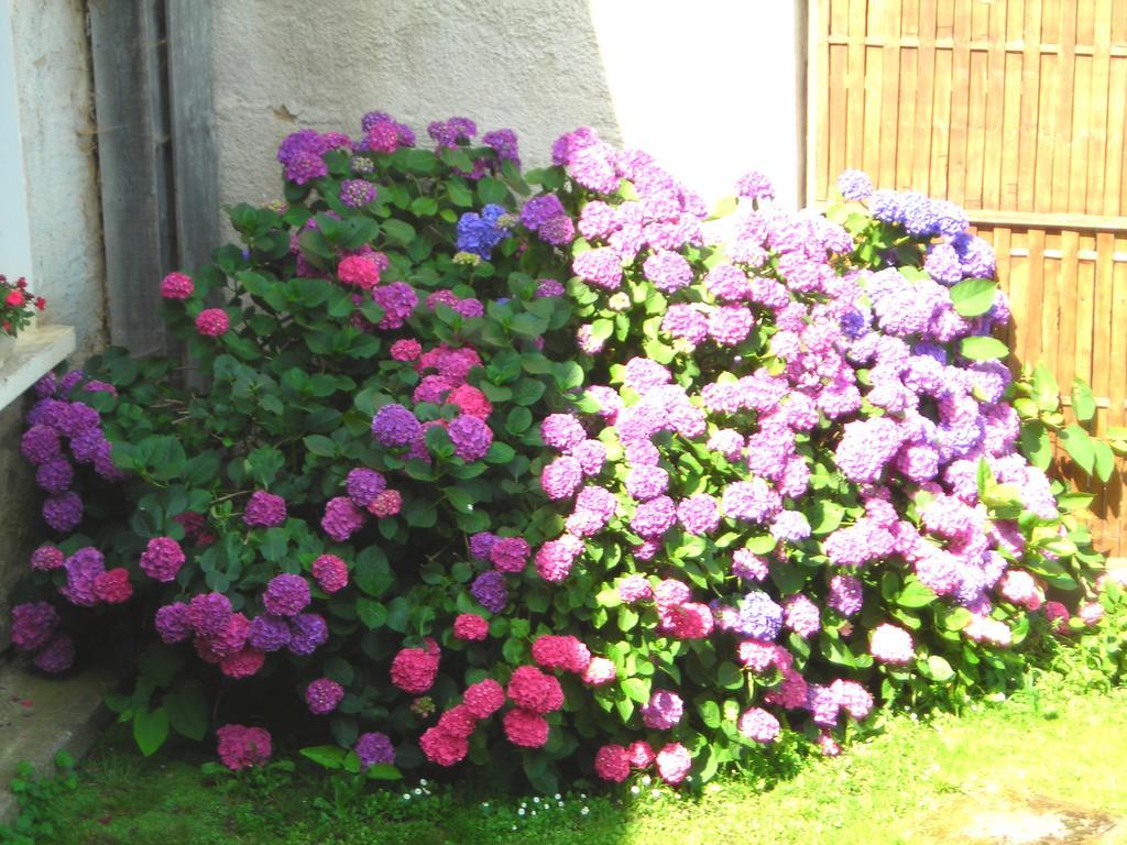 La Bardeliere Farm stay *