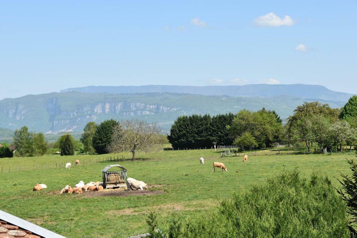 Farm stay La Bardeliere